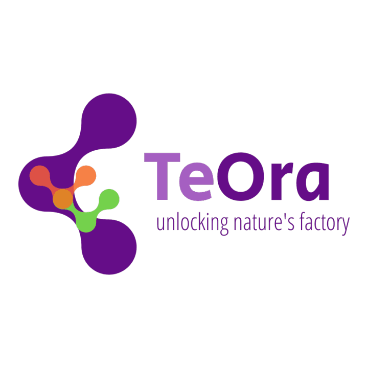 Teora