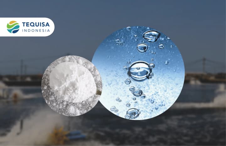 Oxygen Powder (Oxy Plus)