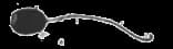 Microsporidian