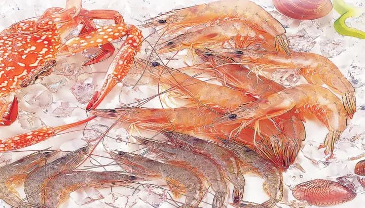Digestive health issues in shrimp