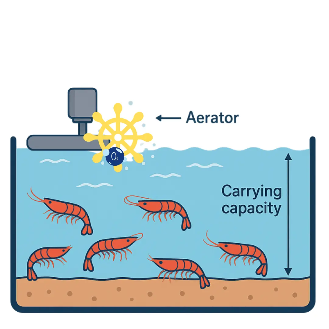 Carrying Capacity Illustration