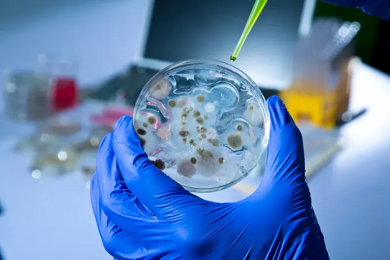 Infection and pathogen resistance